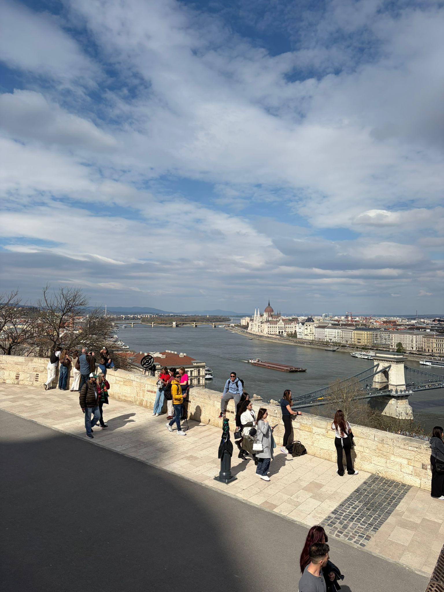 Buda Castle View